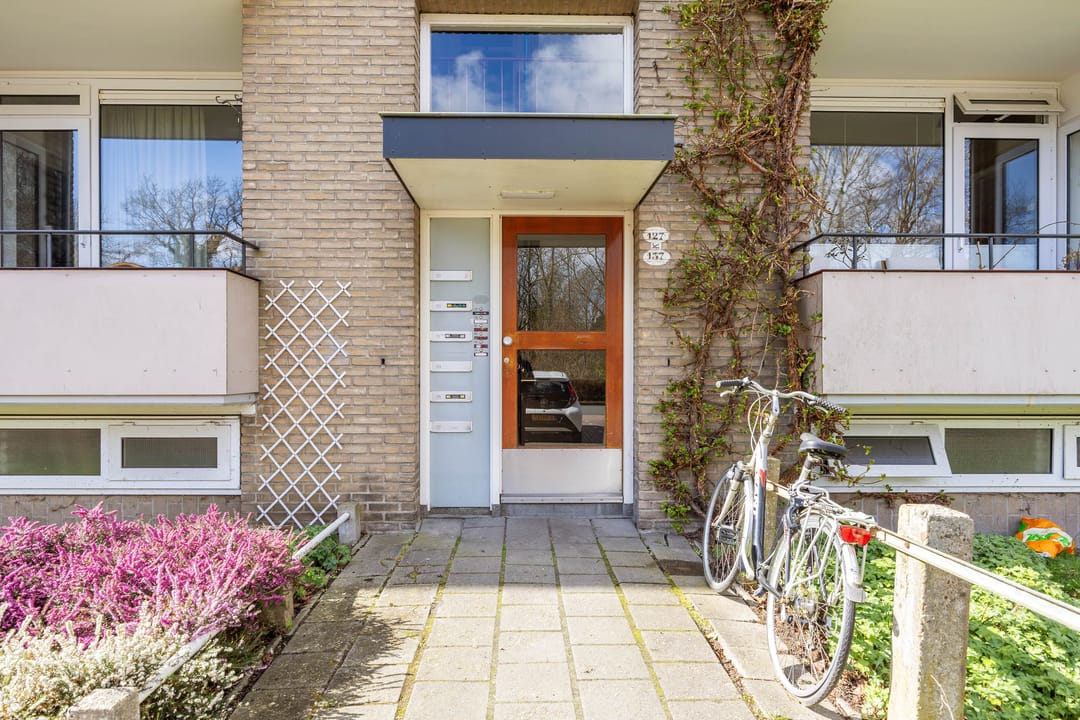 Photo 8 of Helperzoom 137