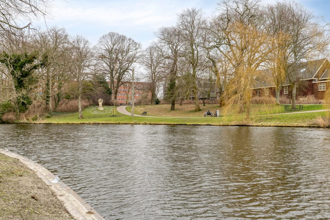 Foto 37 van Snaarmanslaan 34