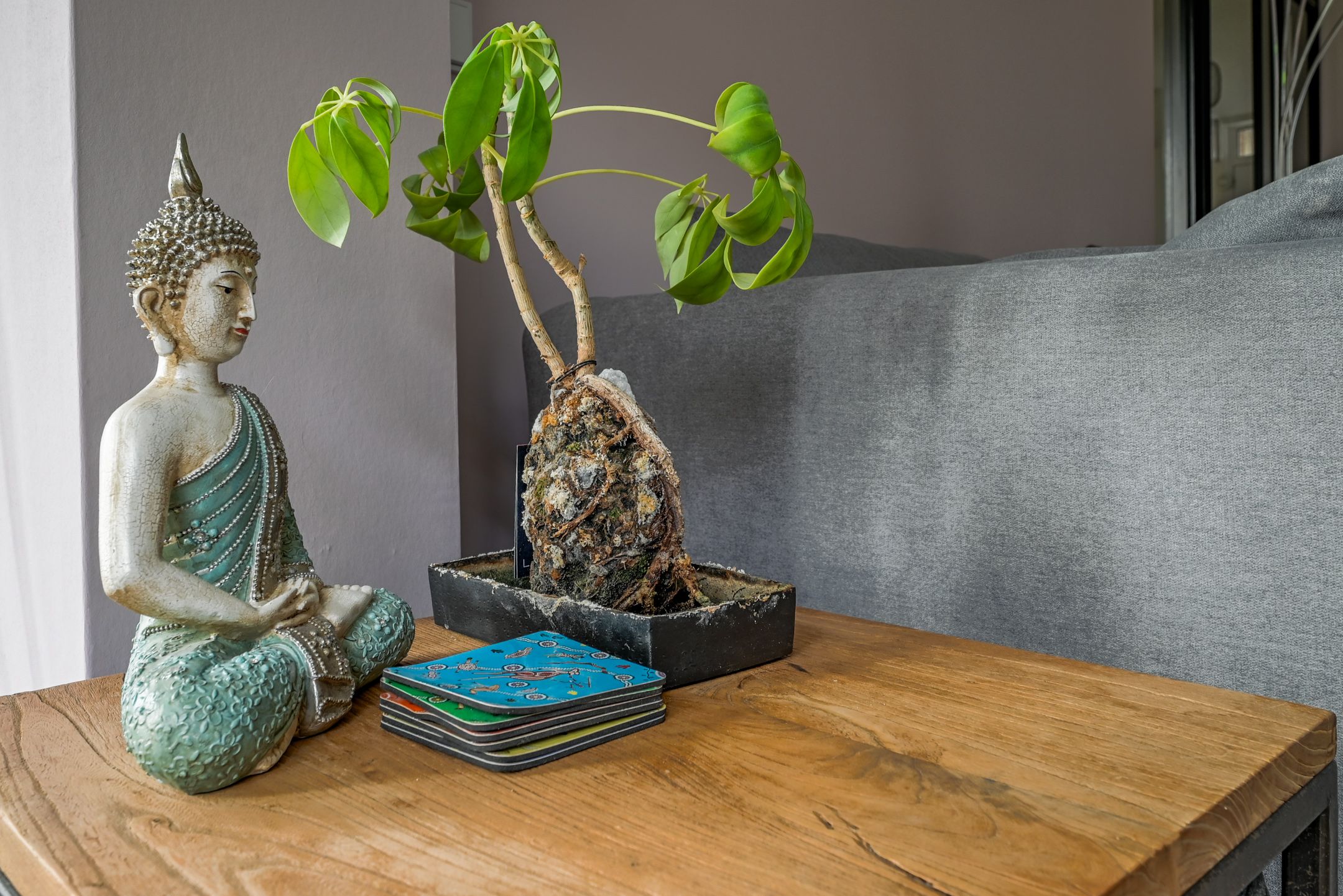 Foto 15 van Heinsiushof 3