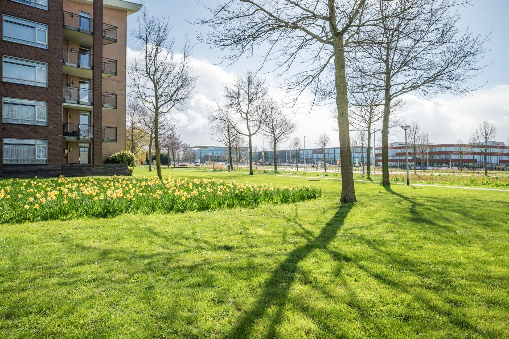 Foto 33 van Heinsiushof 3