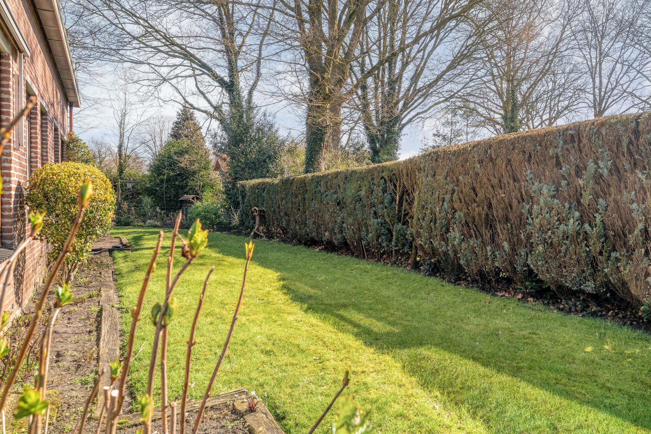 Foto 57 van Gerard Doustraat 1