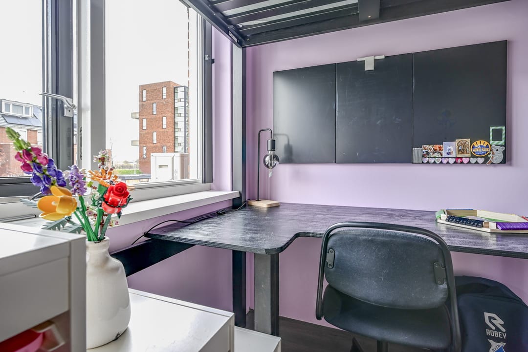 Photo 31 of Rietveldstraat 193