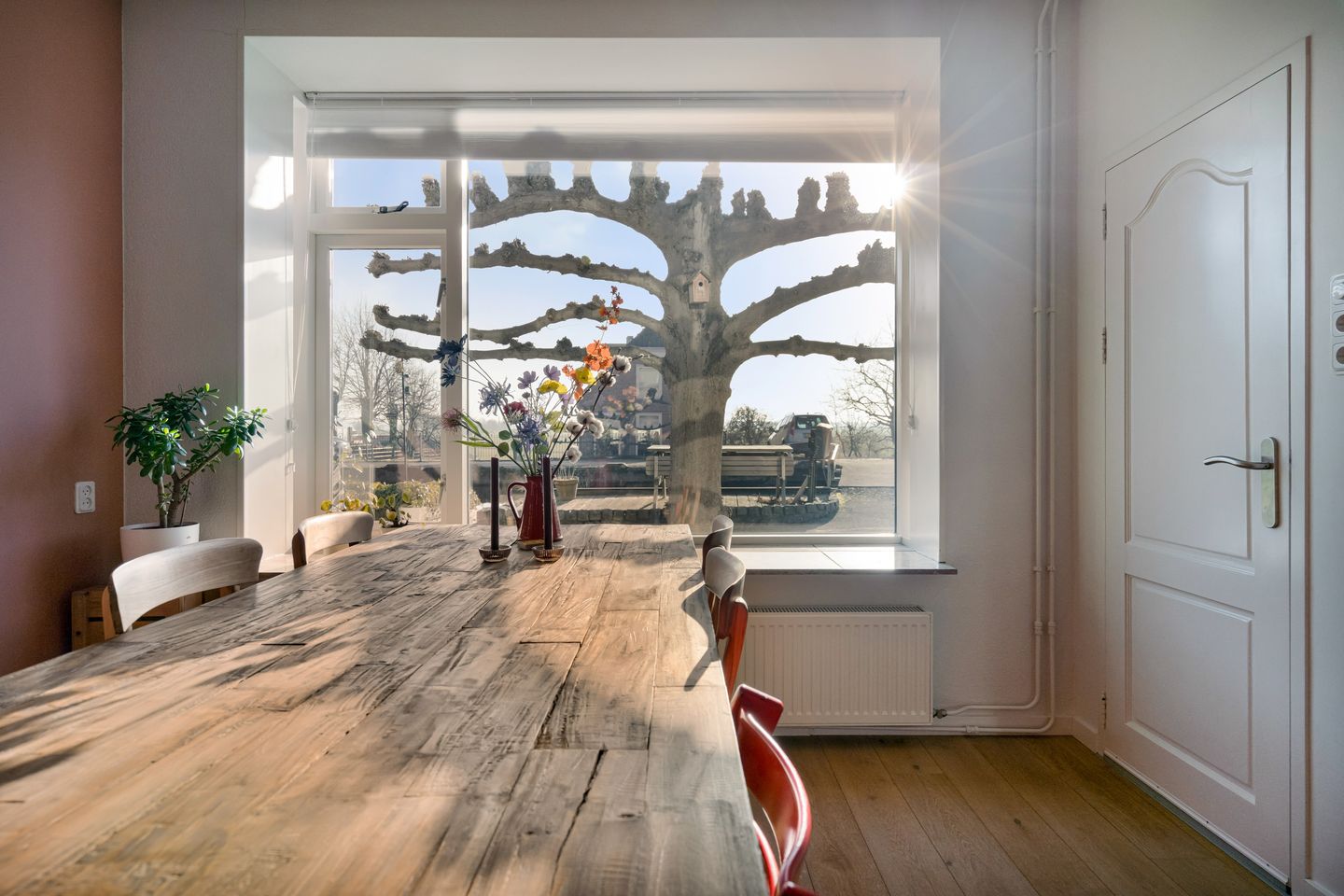 Foto 10 van Doctor van Noortstraat 55