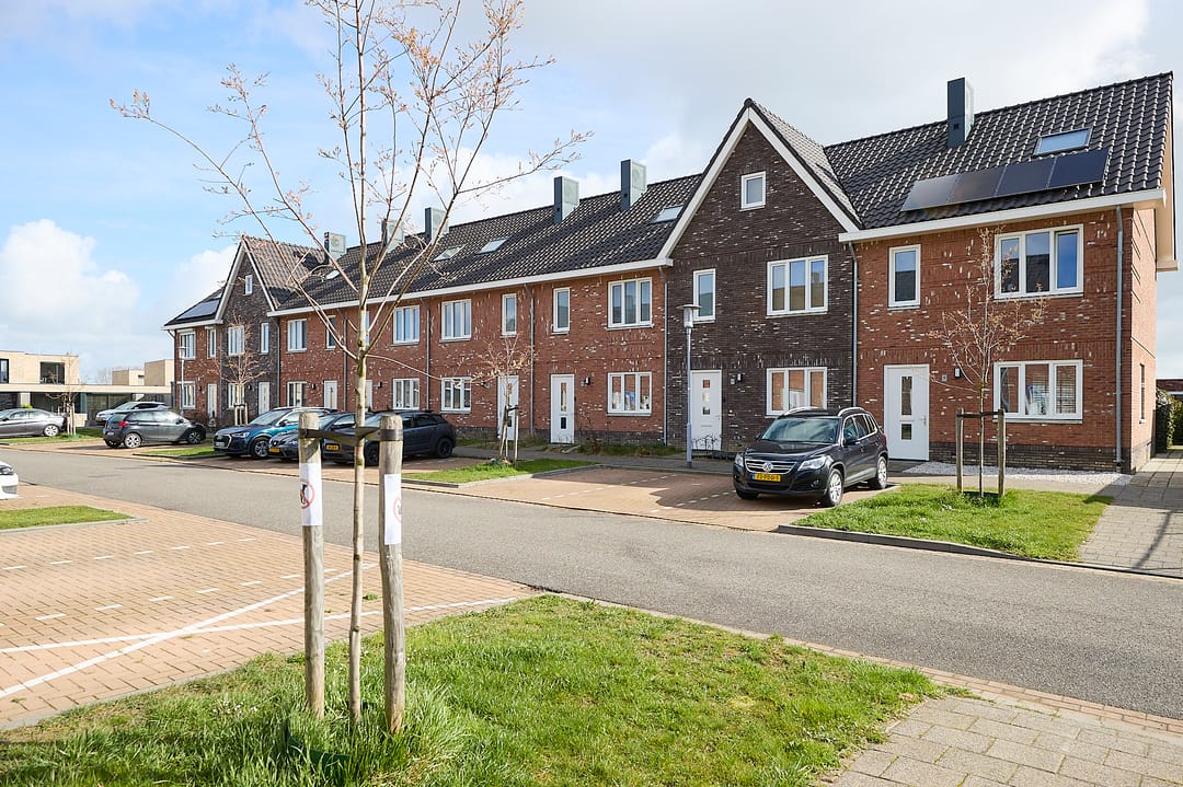 Photo 13 of Botter 10