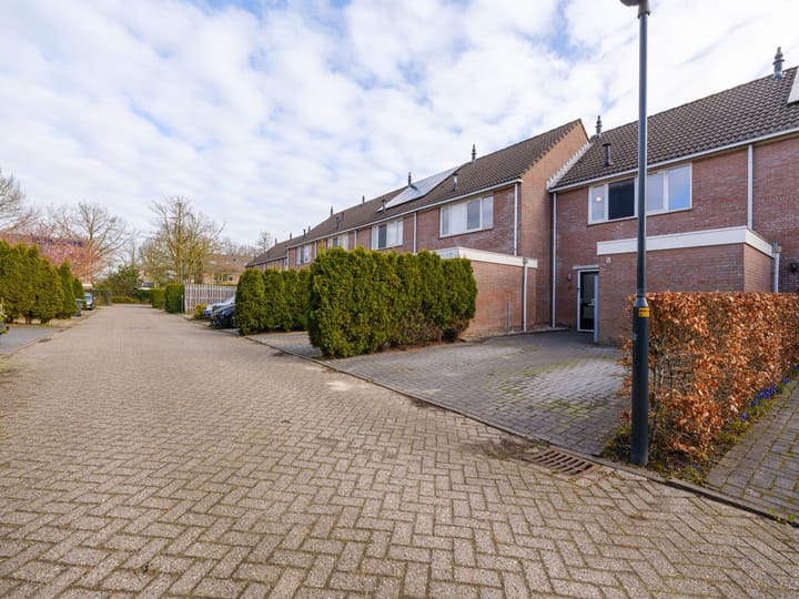 Foto 5 van De Twee Gebroeders 62-A