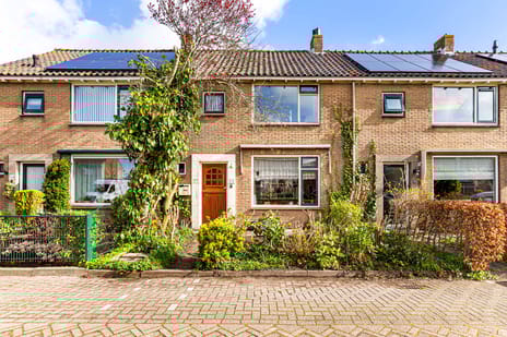 undefined main image