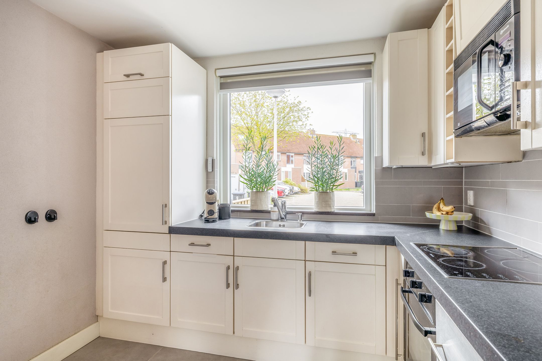 Foto 24 van Blauwgras 9