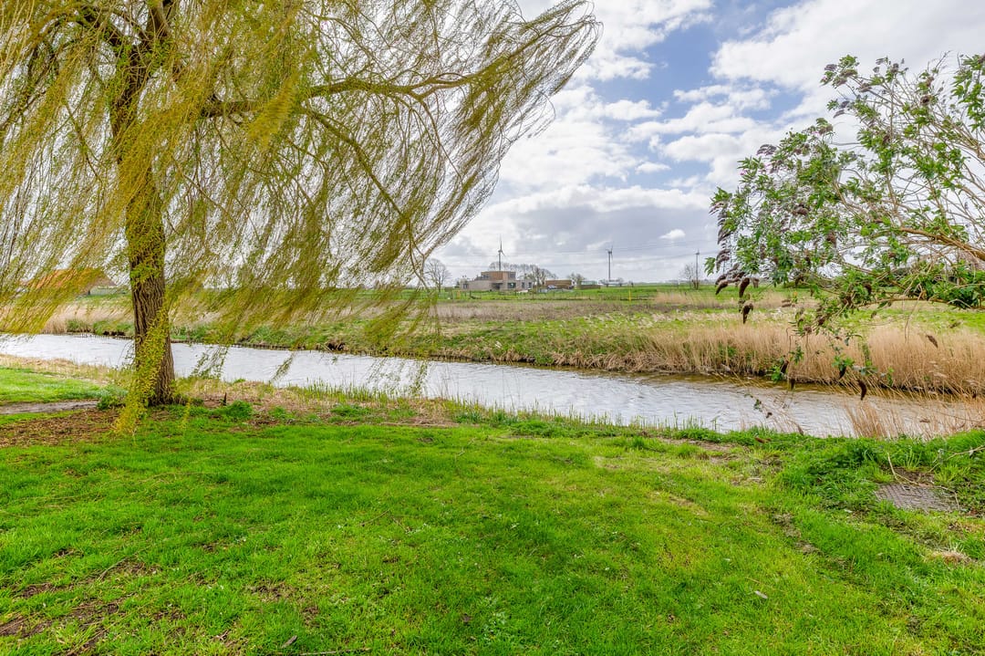 Foto 46 van Blauwgras 9