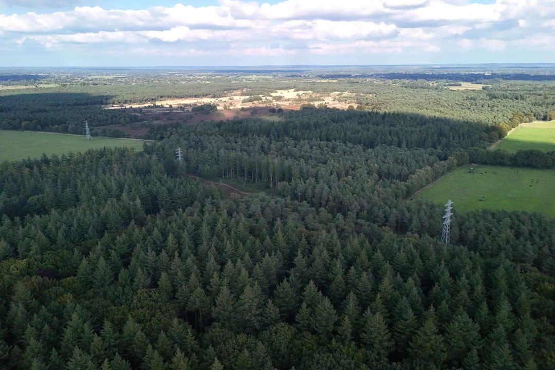 Photo 32 of Immenweg 15-R200