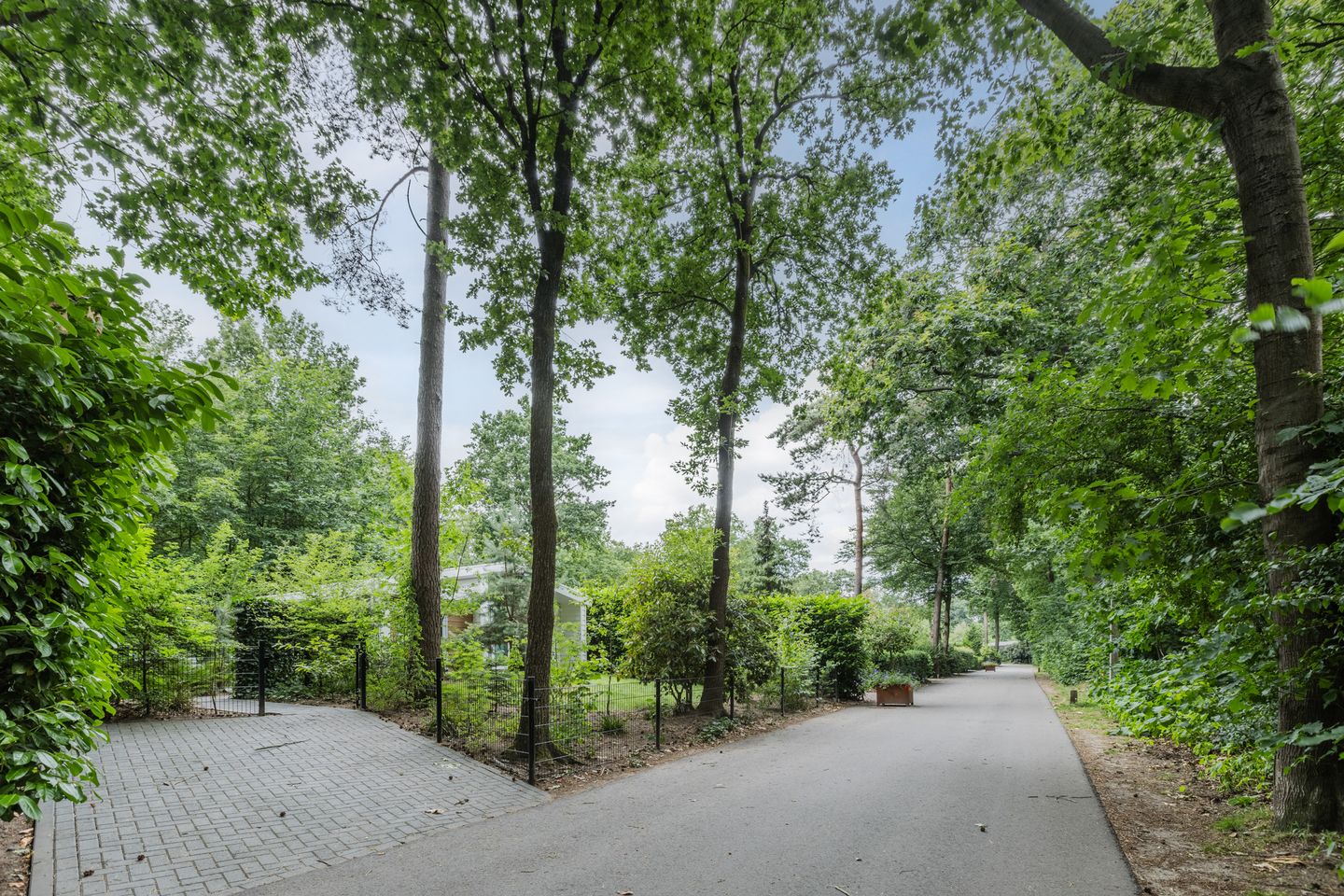 Photo 29 of Immenweg 15-R200