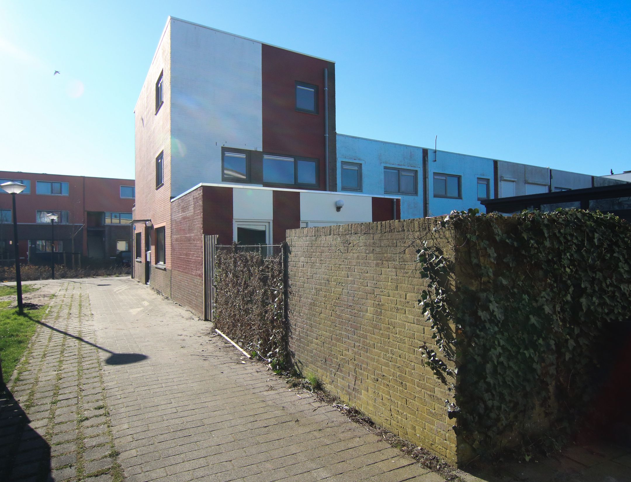 Foto 3 van Mintplantsoen 60