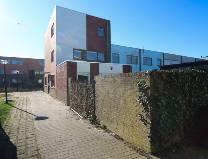 Photo 3 of Mintplantsoen 60