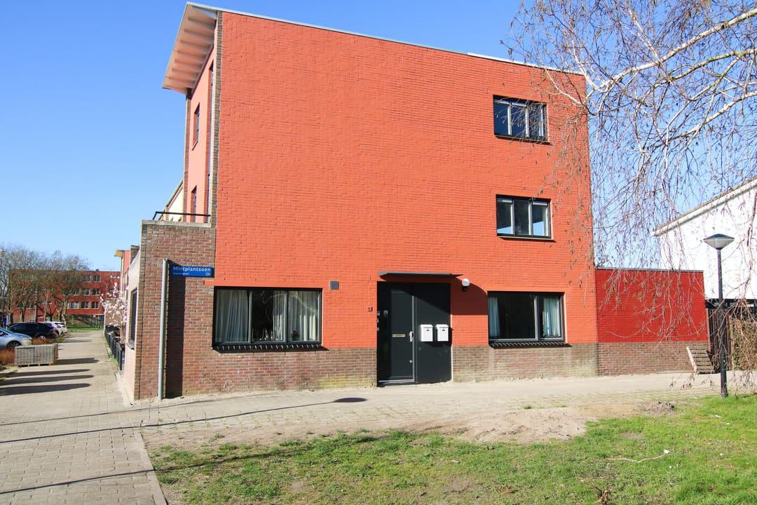 Foto 2 van Mintplantsoen 60