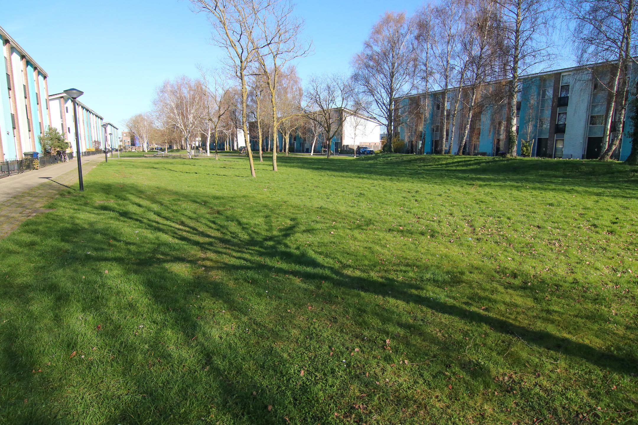 Foto 27 van Mintplantsoen 60