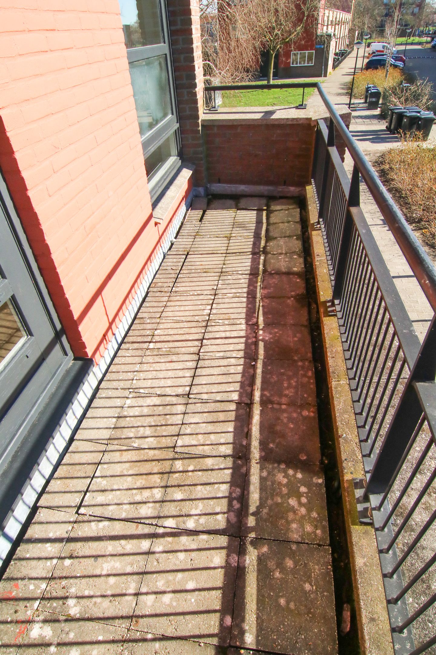 Foto 4 van Mintplantsoen 60