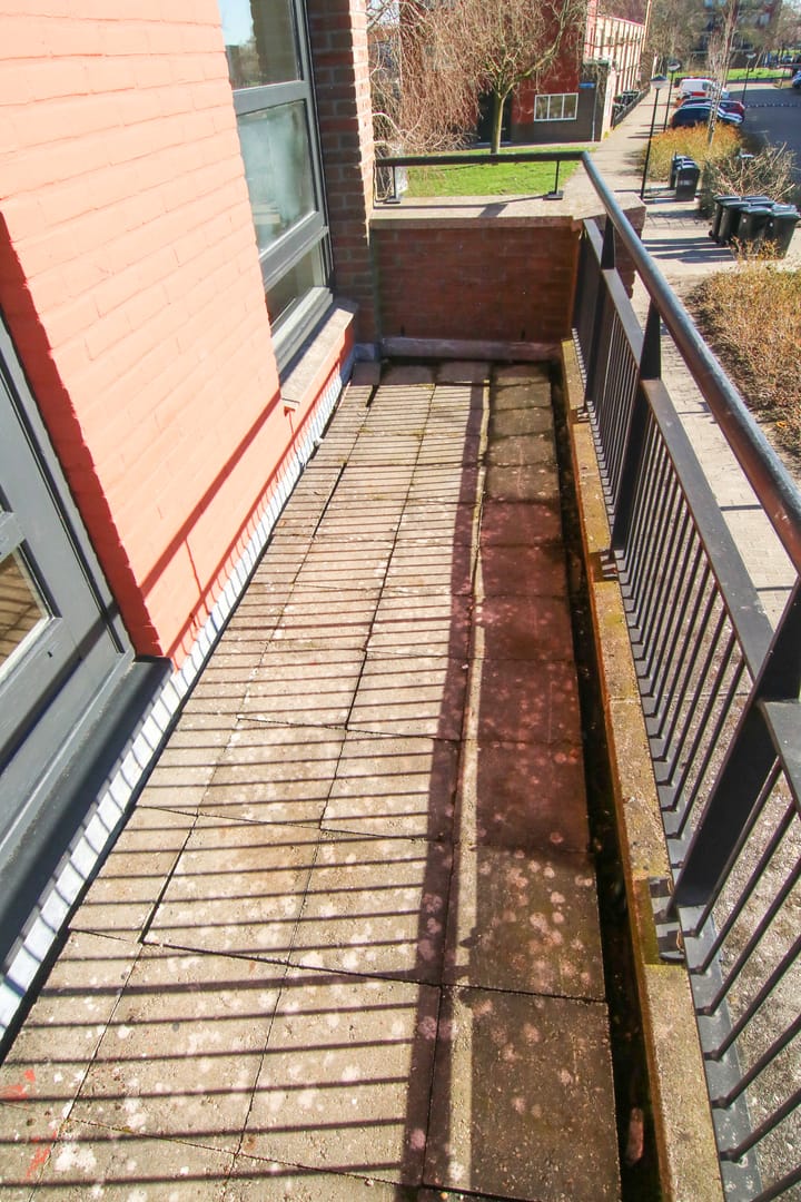 Photo 4 of Mintplantsoen 60