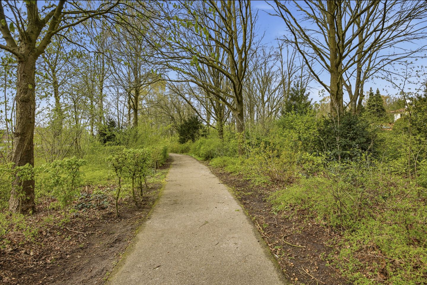 Photo 49 of Burgemeester van Grotenhuisstraat 39