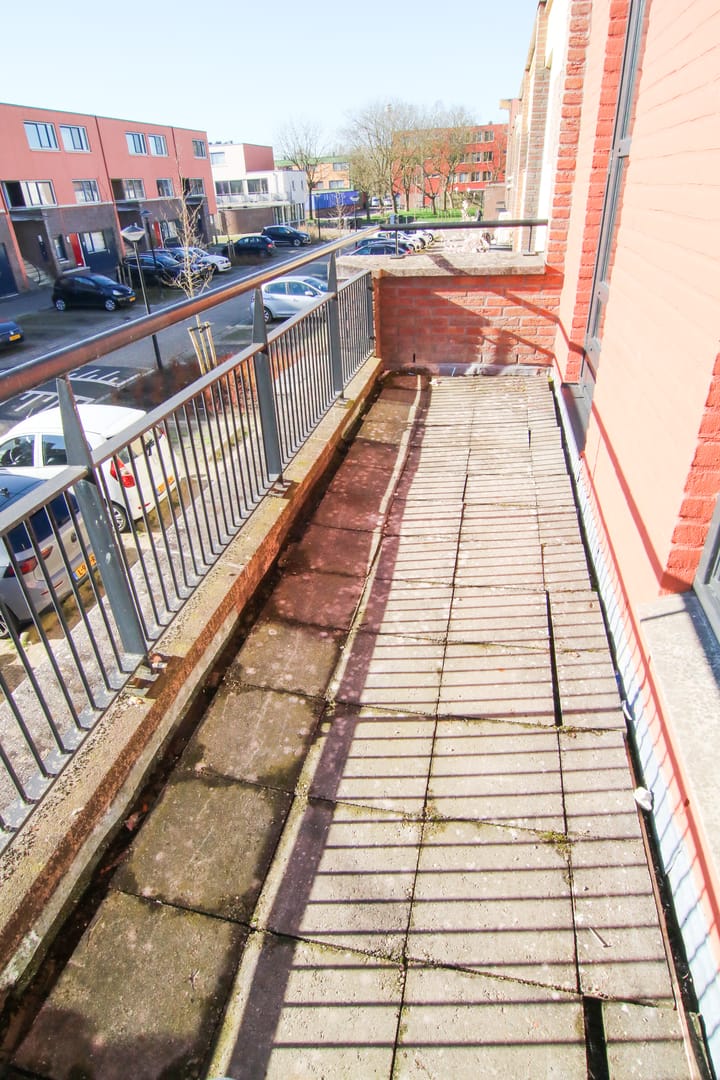 Photo 5 of Mintplantsoen 60