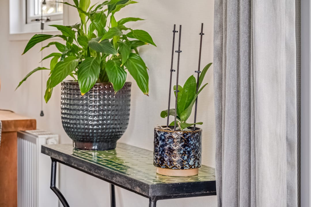 Foto 13 van Rijk van Batouwe 24