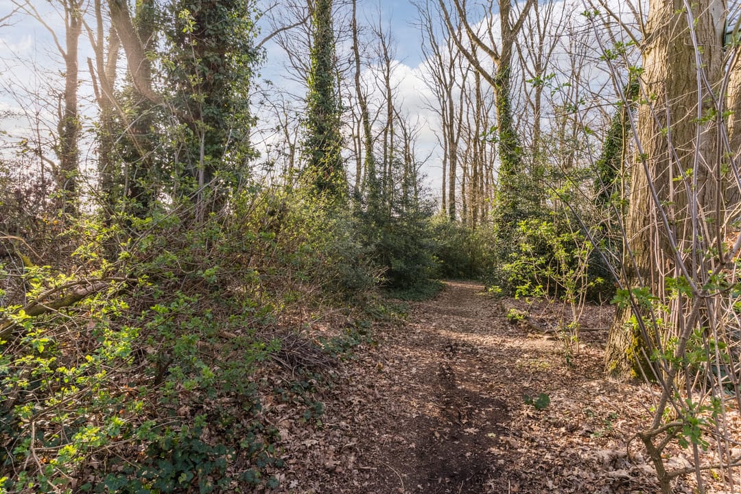 Foto 58 van Schadewijkstraat 26