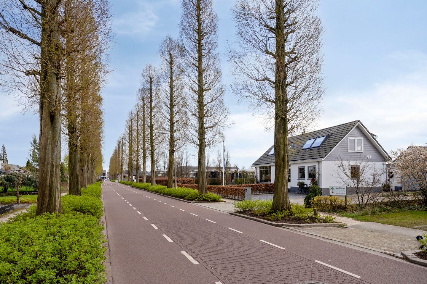 Foto 50 van Biezen 135