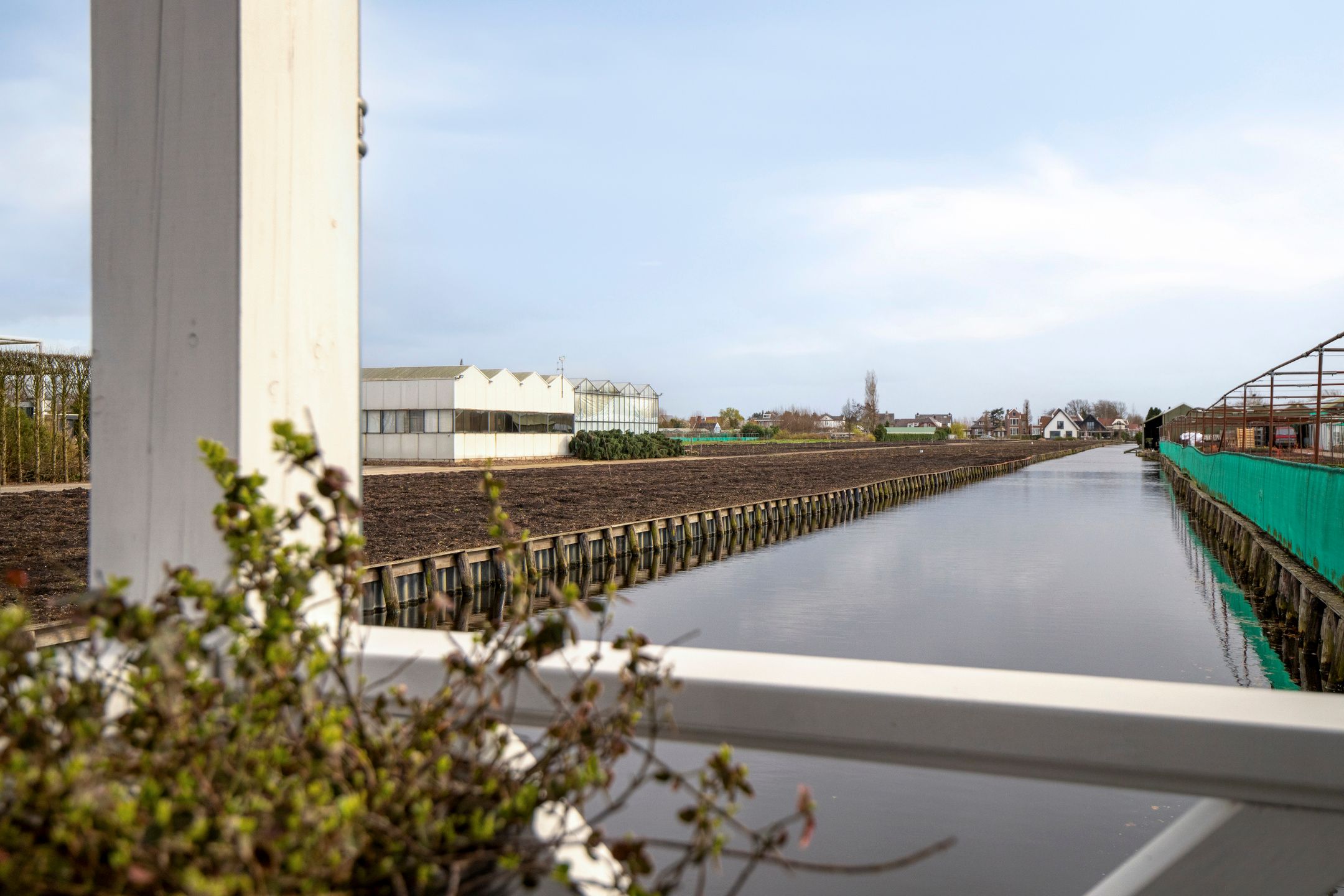 Foto 39 van Biezen 135