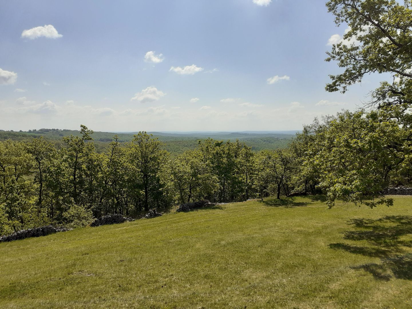 Photo 14 of 630 Rte de la Tuilerie