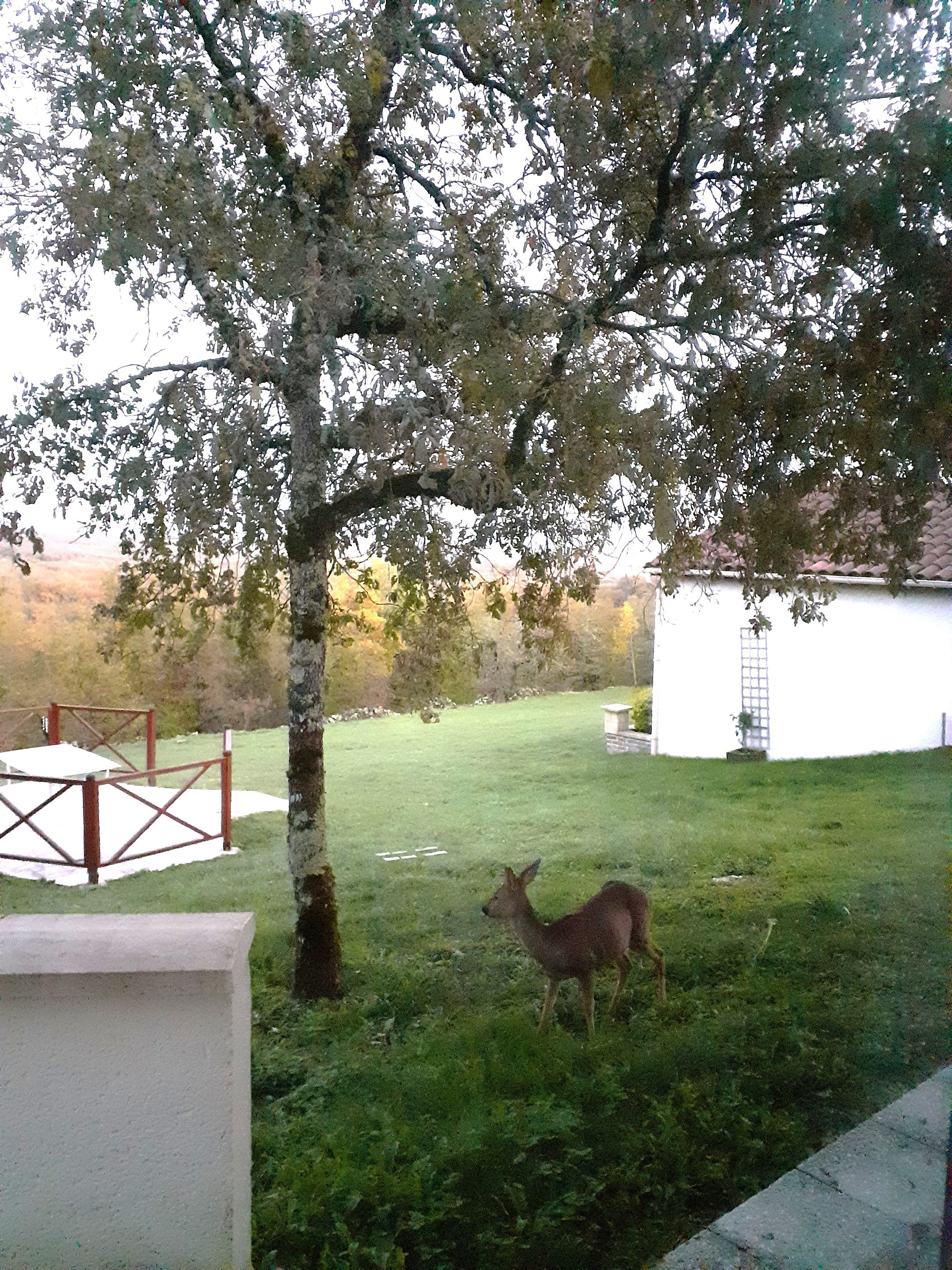 Photo 12 of 630 Rte de la Tuilerie