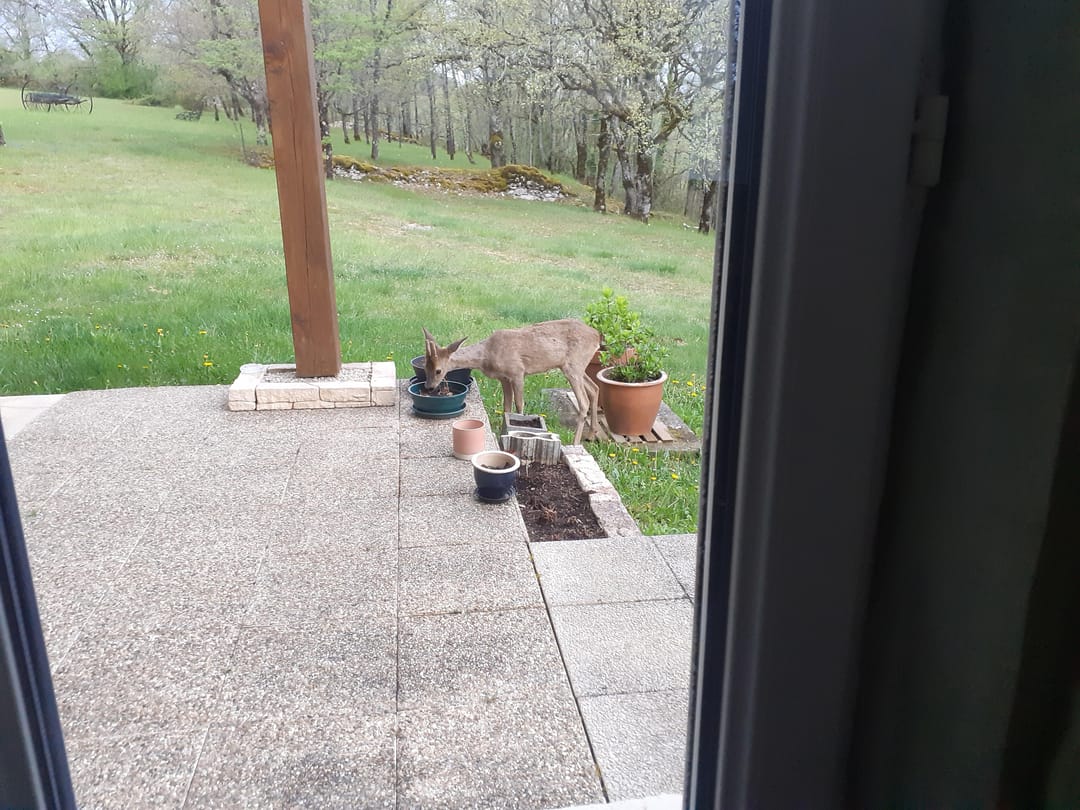 Photo 13 of 630 Rte de la Tuilerie