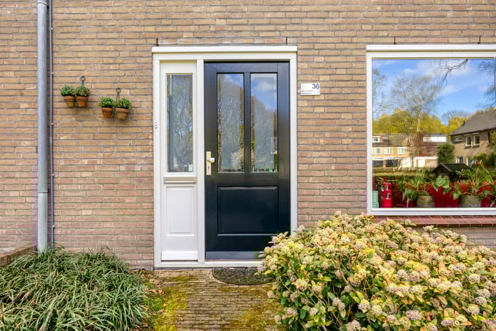 Photo 4 of Van Lennephof 36