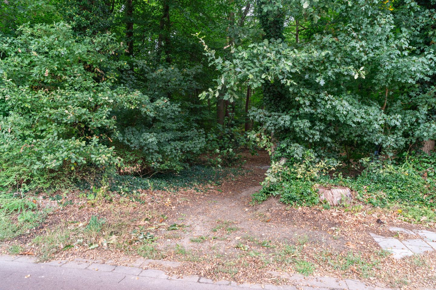 Foto 50 van Harderwijkerweg 57