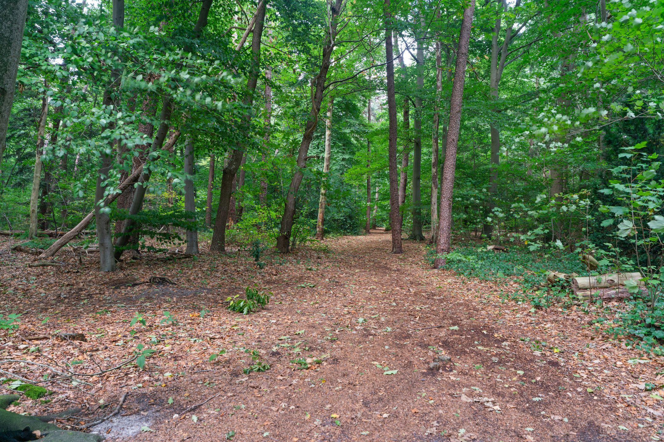 Foto 51 van Harderwijkerweg 57