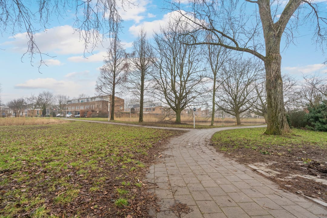 Foto 31 van Cosmariumstraat 1