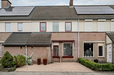 undefined main image