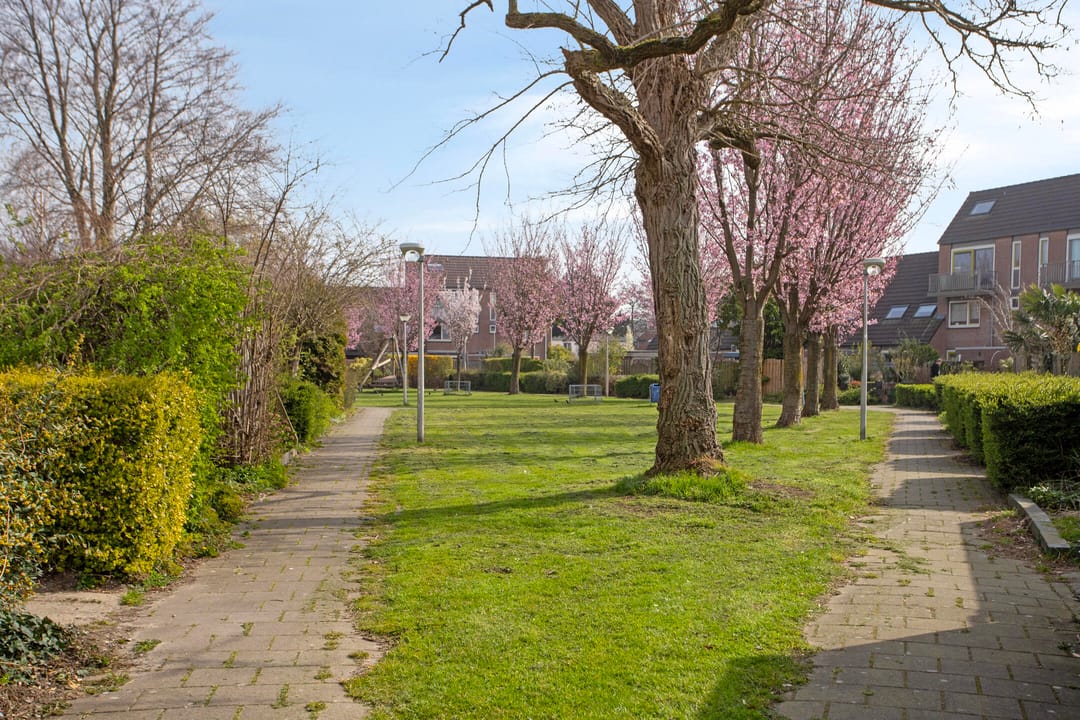 Foto 43 van Wisselspoor 133