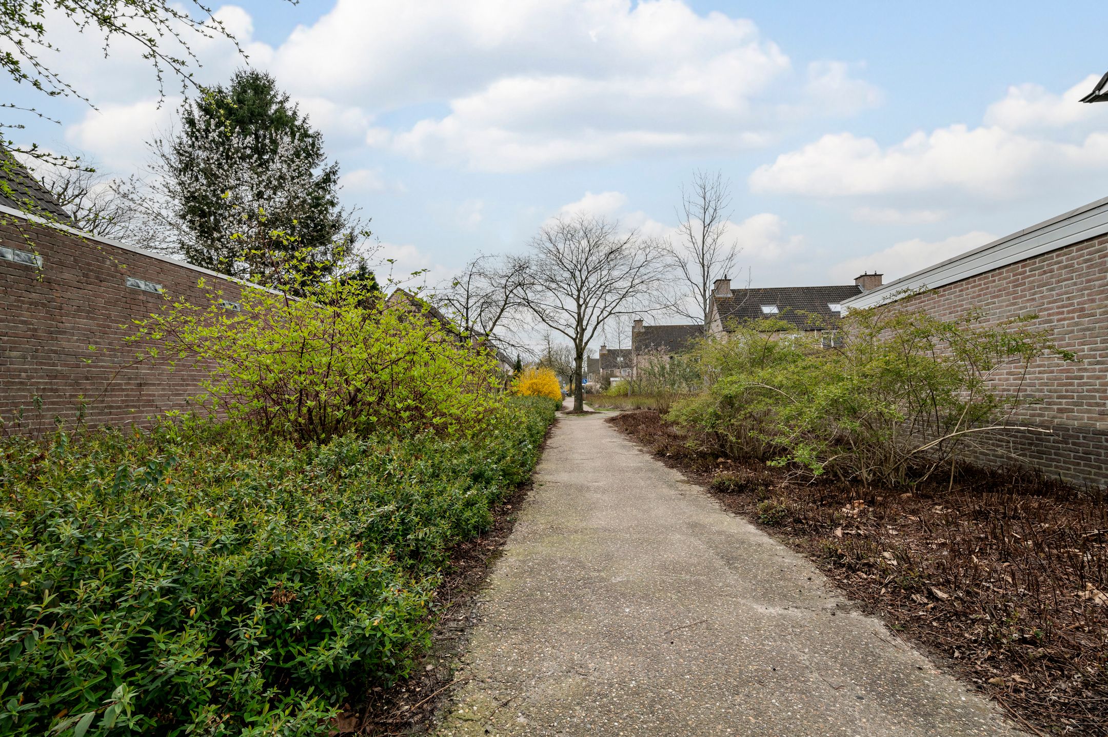 Foto 45 van Tarweland 11