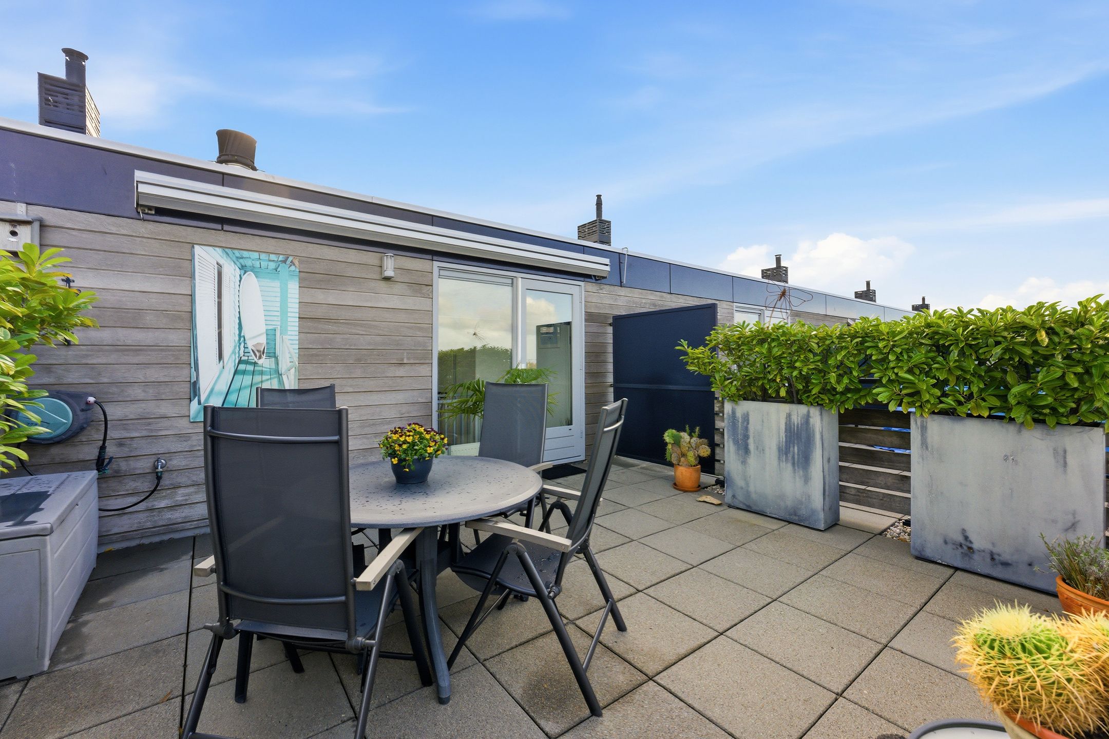 Photo 39 of Dokhof 11