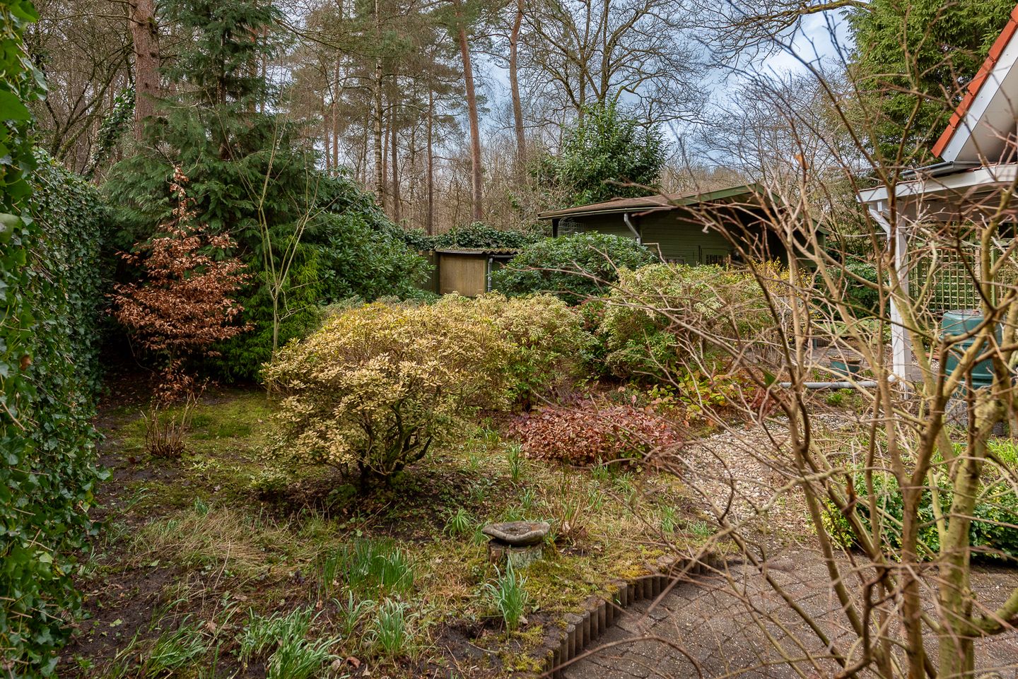 Foto 34 van Verlengde Haerderweg 5-R13