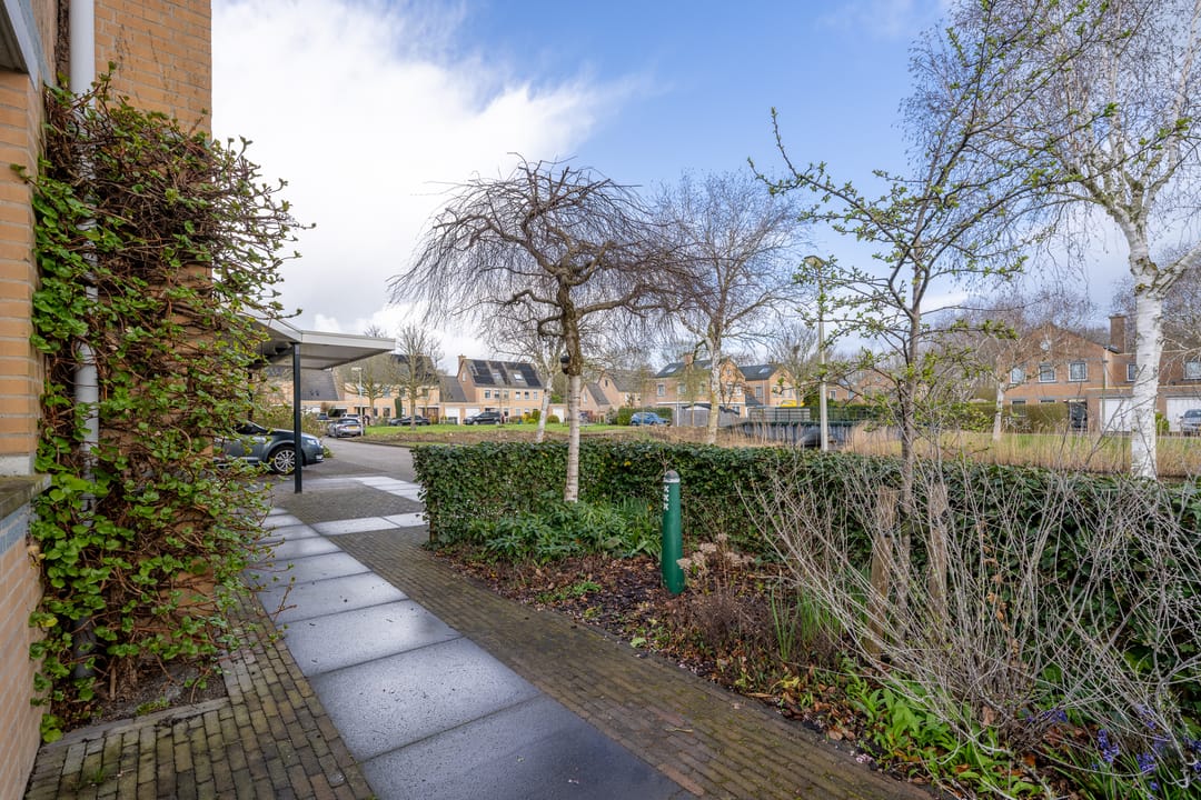 Foto 8 van Hunzebos 43