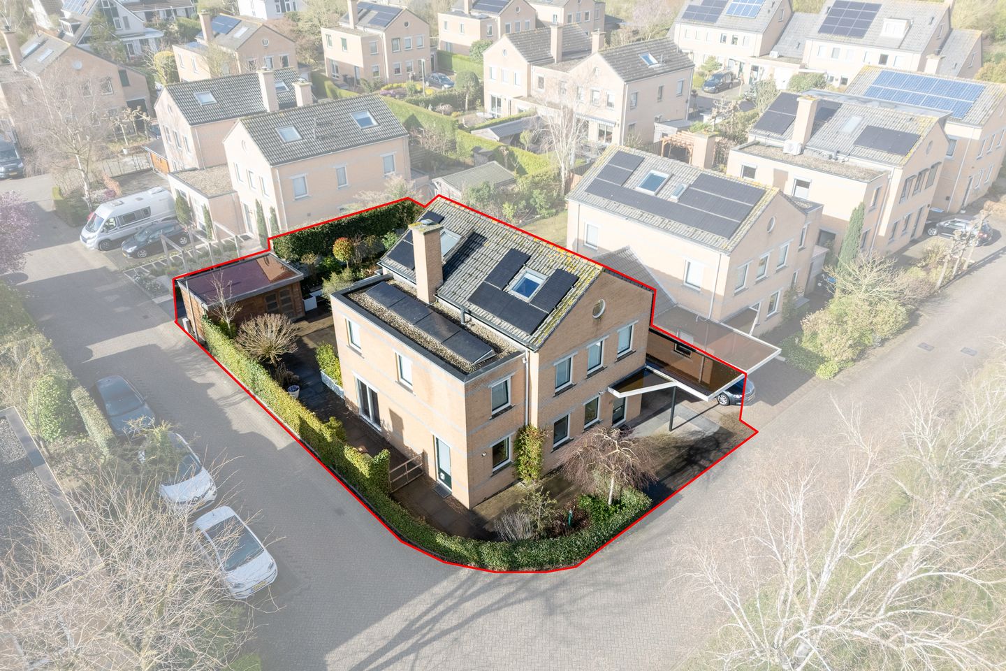 Foto 4 van Hunzebos 43