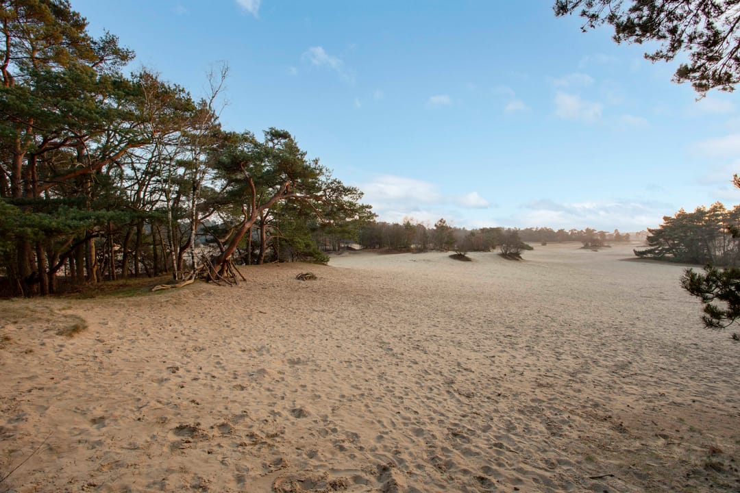 Foto 46 van Verlengde Haerderweg 5-R13