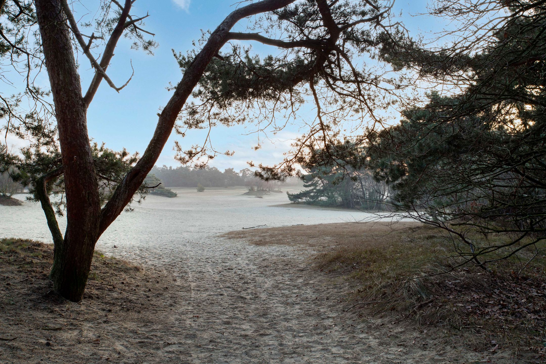 Foto 45 van Verlengde Haerderweg 5-R13