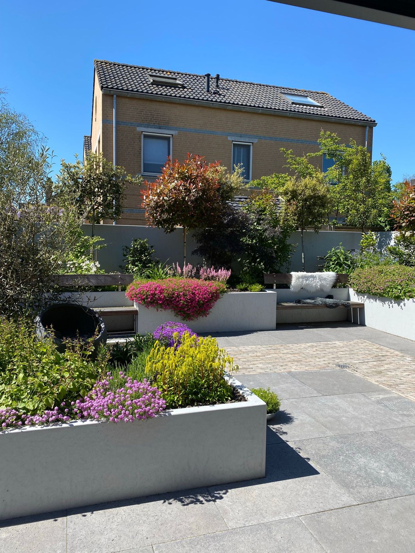 Foto 44 van Hunzebos 43