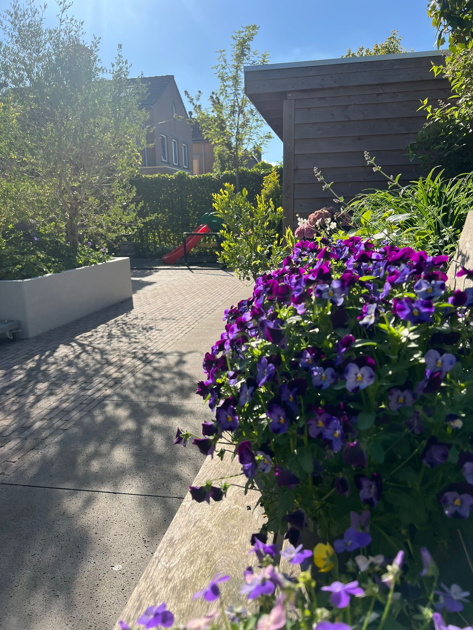 Foto 48 van Hunzebos 43