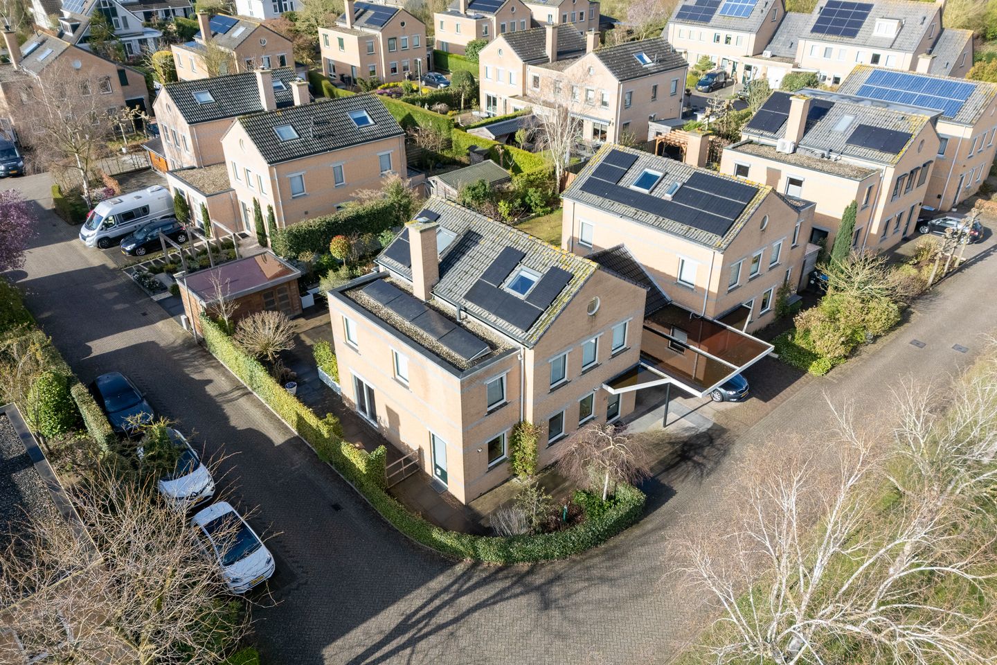 Foto 50 van Hunzebos 43