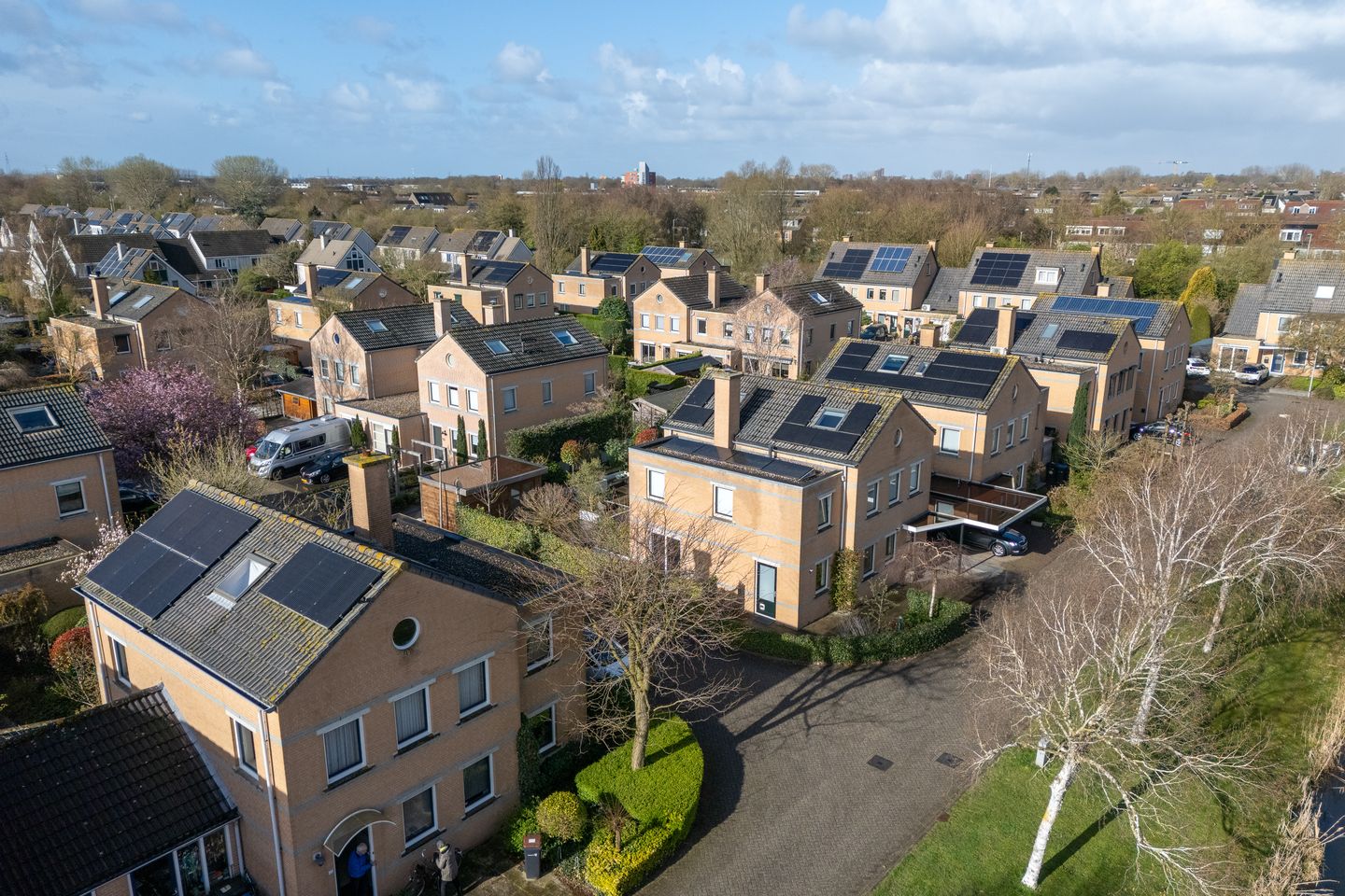 Foto 79 van Hunzebos 43