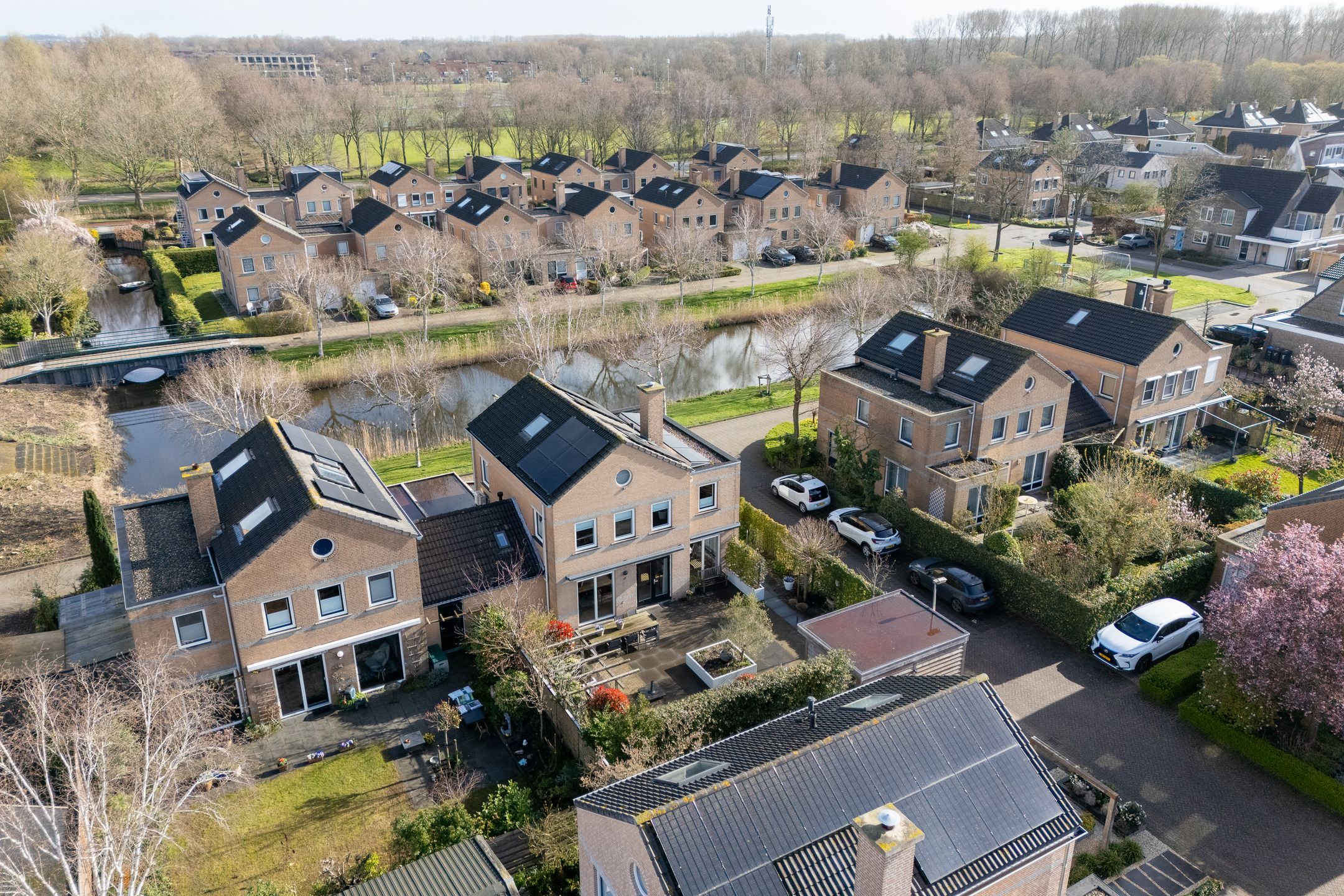 Foto 81 van Hunzebos 43