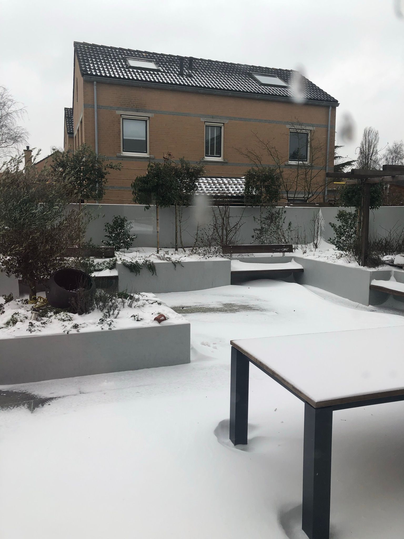 Foto 78 van Hunzebos 43