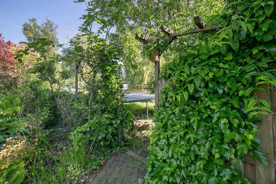 Foto 16 van Dokter de Boerstraat 9