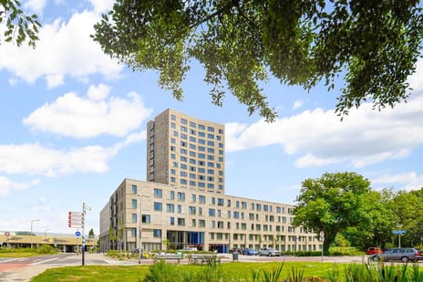 undefined main image